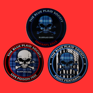 Blue Plaid Decal - 3 Pack